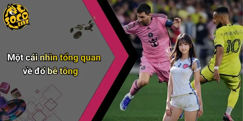 Một cái nhìn tổng quan về đổ bê tông