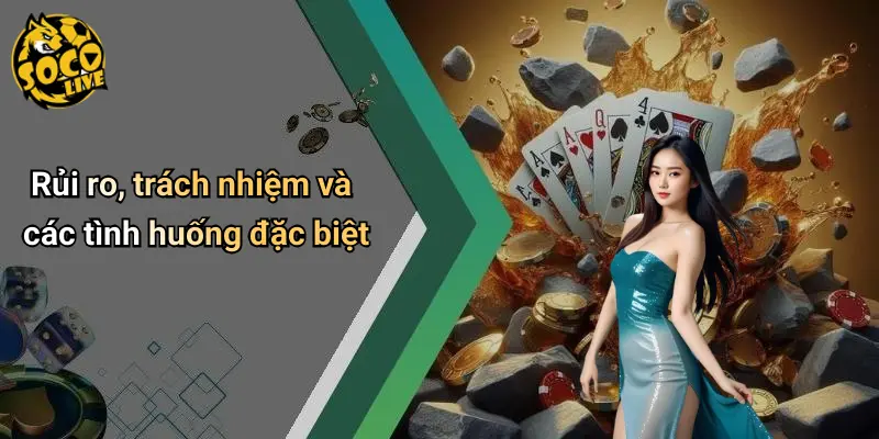 Rủi ro, trách nhiệm và các tình huống đặc biệt