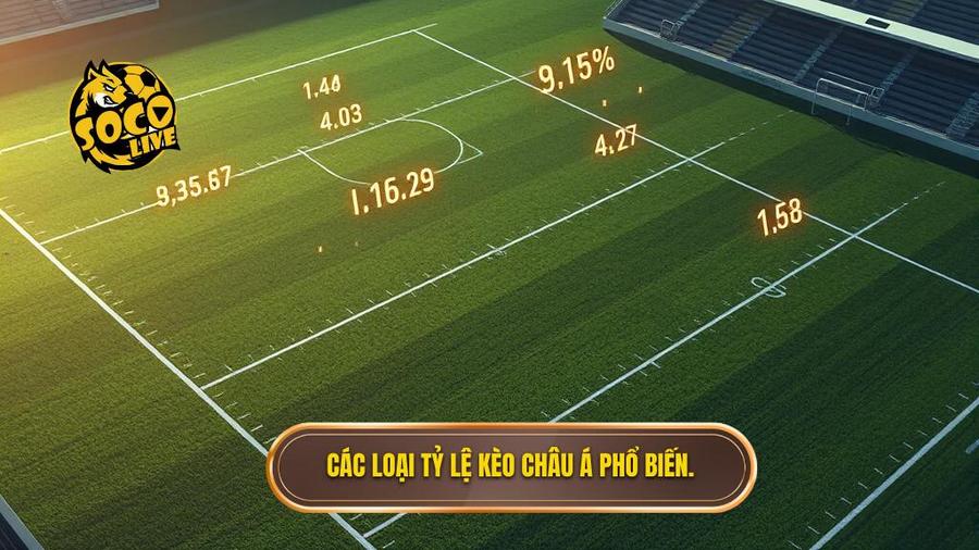 Các loại tỷ lệ phổ biến trong Kèo cược châu Á