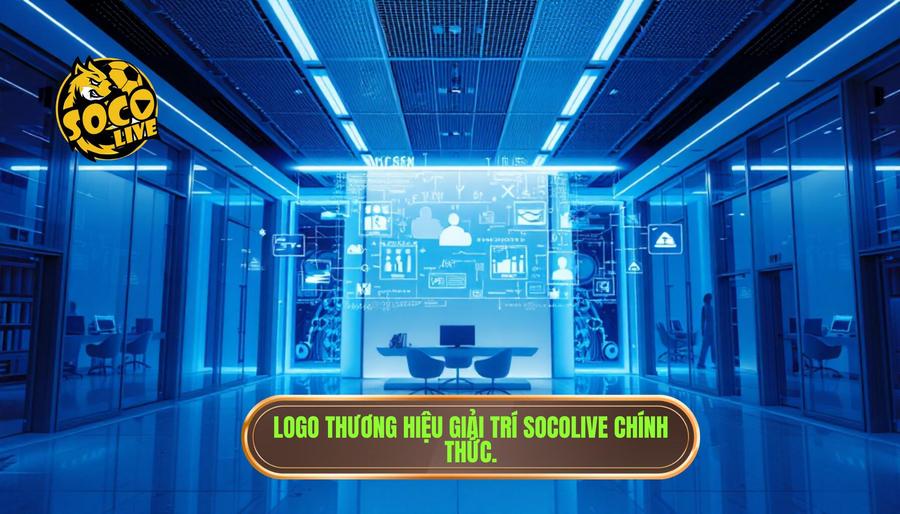 Tổng quan về thương hiệu SOCOLIVE