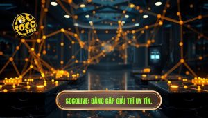 socolive hoạt động như thế nào?
