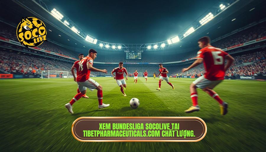 Xem Bundesliga Socolive: Trải Nghiệm Bóng Đá Đức Đẳng Cấp Tại tibetpharmaceuticals.com 2 Xem Bundesliga Socolive tại tibetpharmaceuticals.com chất lượng.