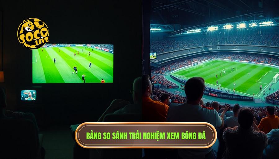 Xem Bundesliga Socolive: Trải Nghiệm Bóng Đá Đức Đẳng Cấp Tại tibetpharmaceuticals.com 3 Bảng so sánh trải nghiệm xem bóng đá